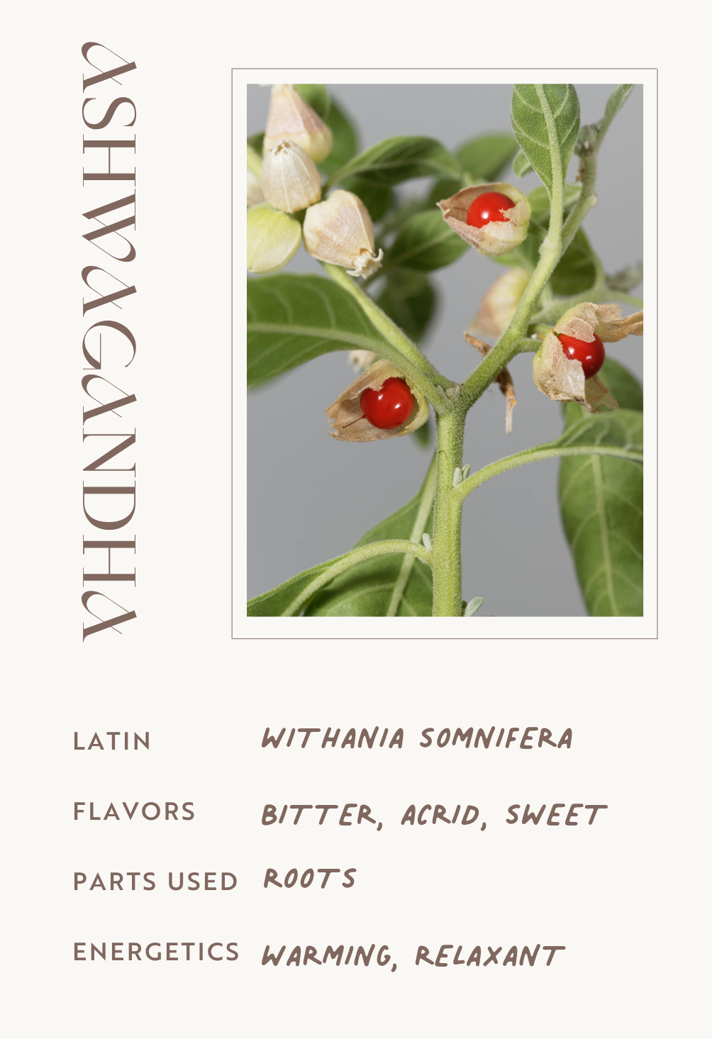 Ashwagandha