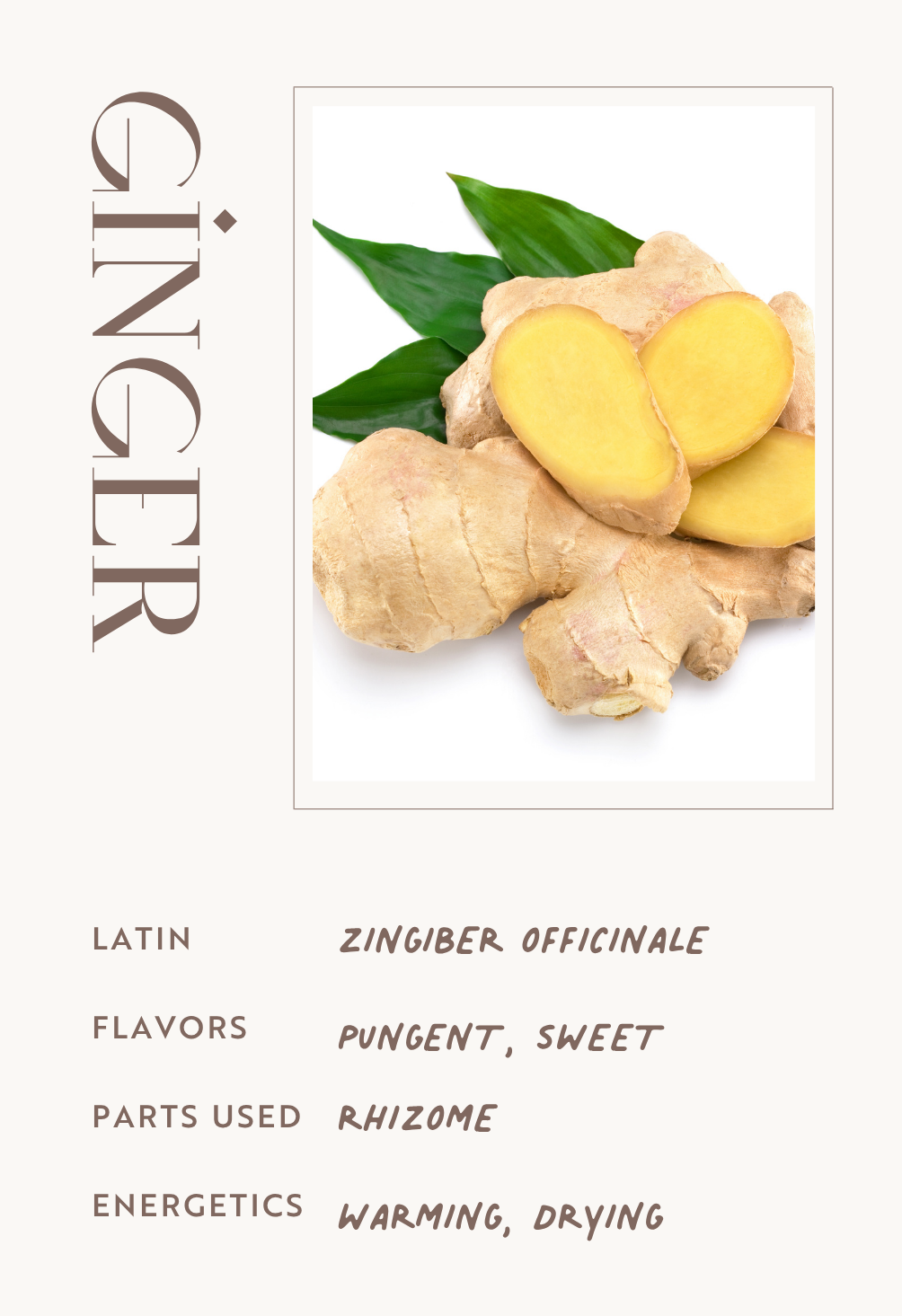 Ginger