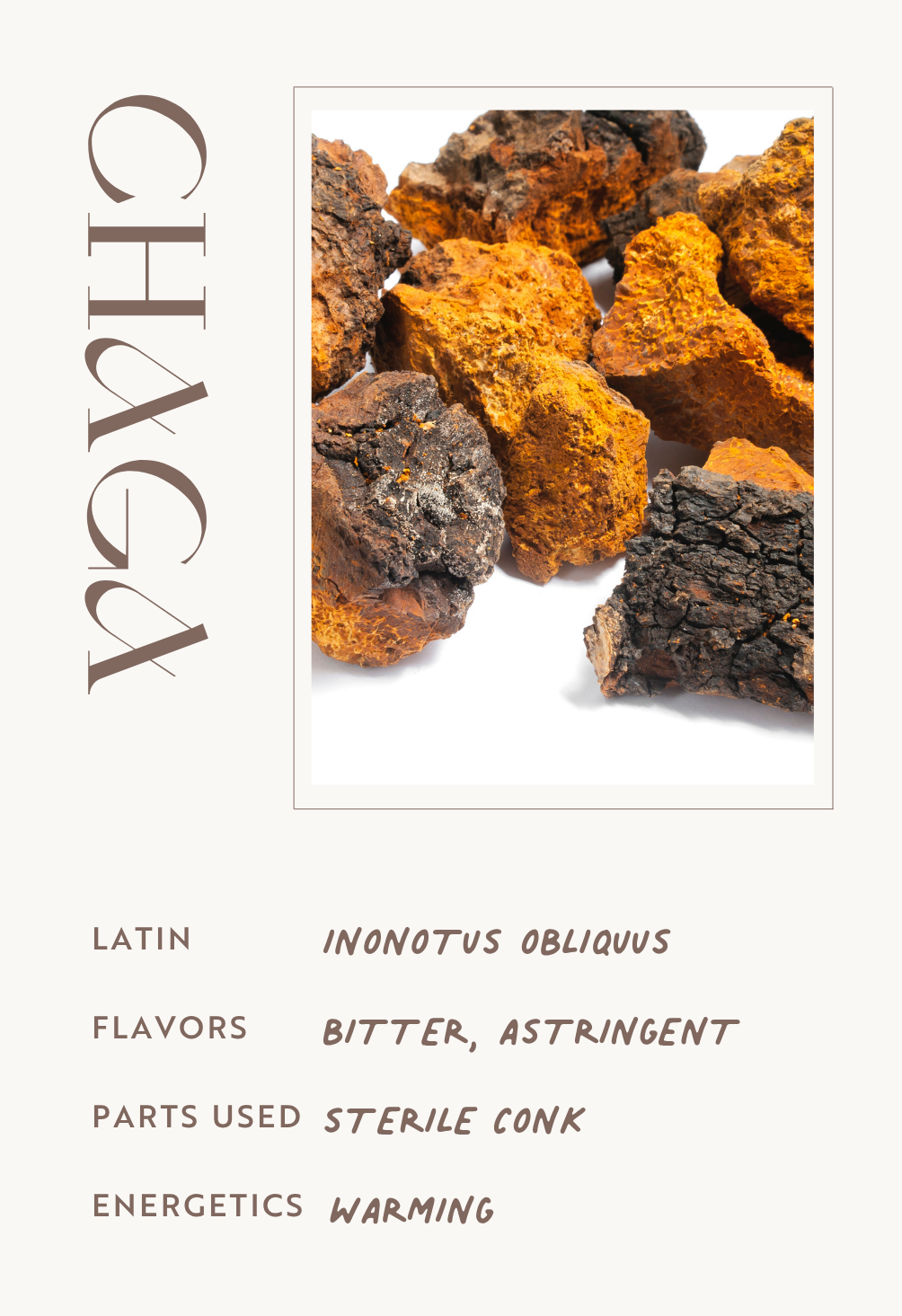 Chaga