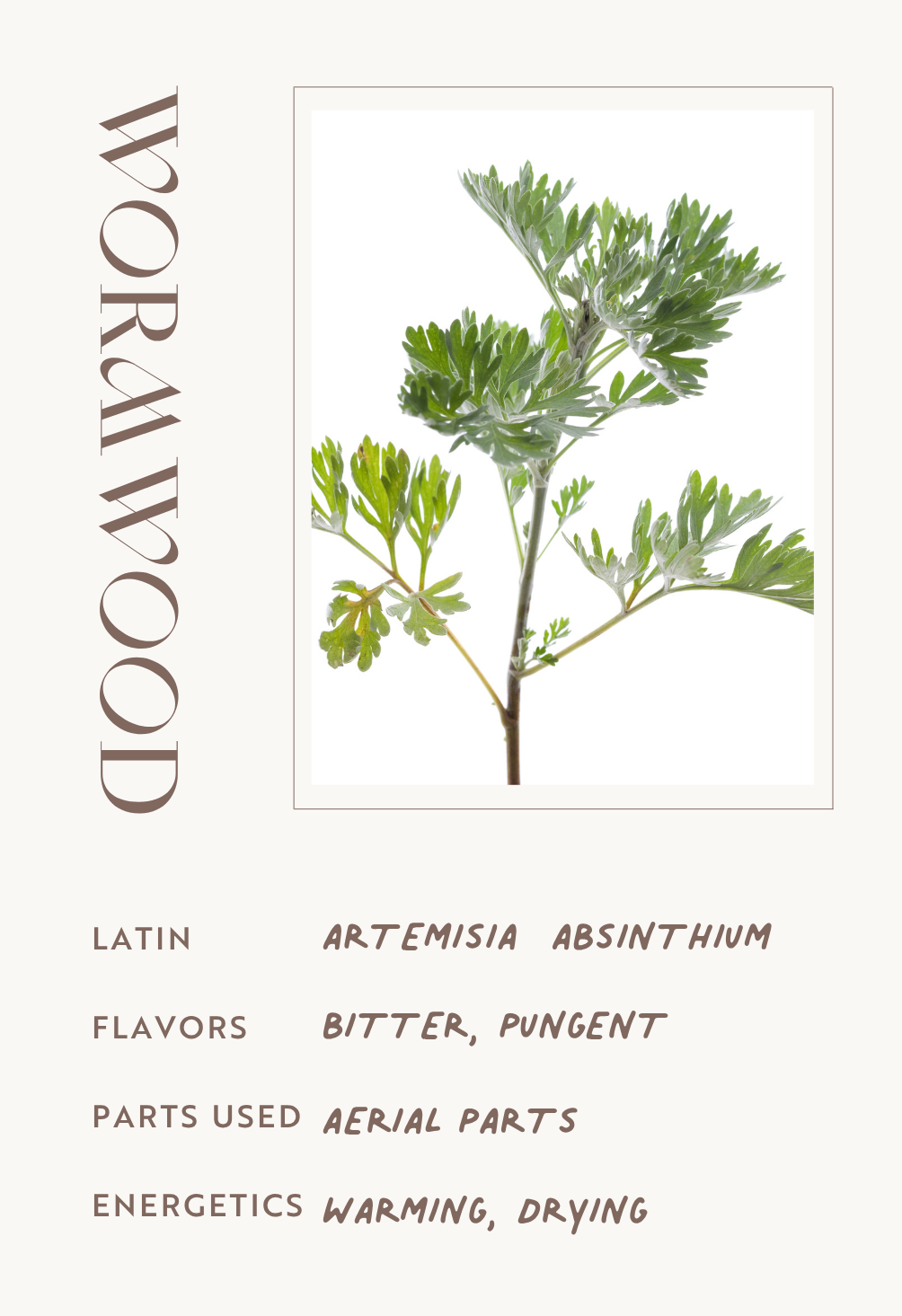 Wormwood