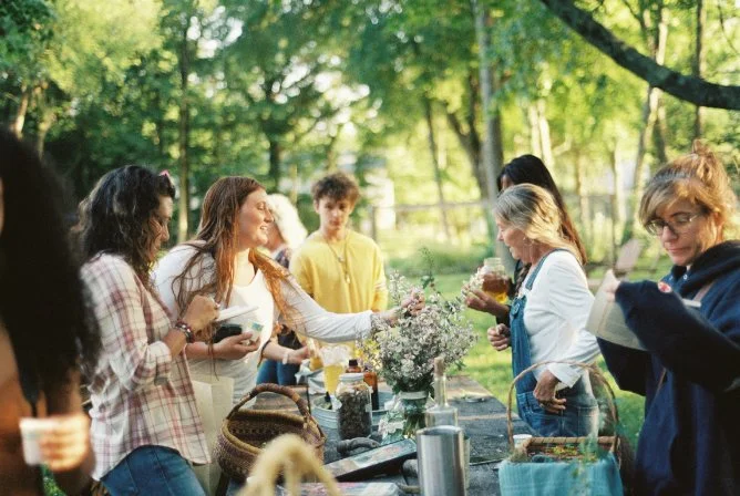 Herbalism apprenticeship   (year 1)