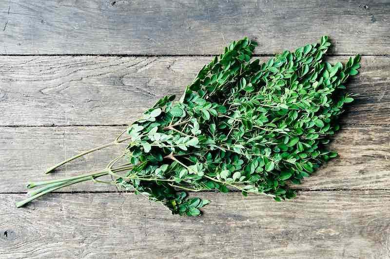 Moringa bulk herb