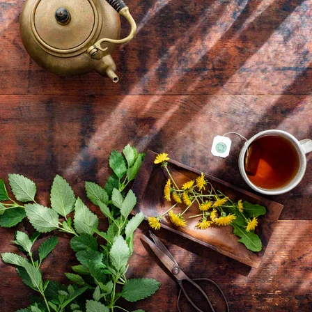 Dandelion Leaf bulk herb