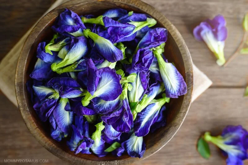 Butterfly Pea Flower bulk herb