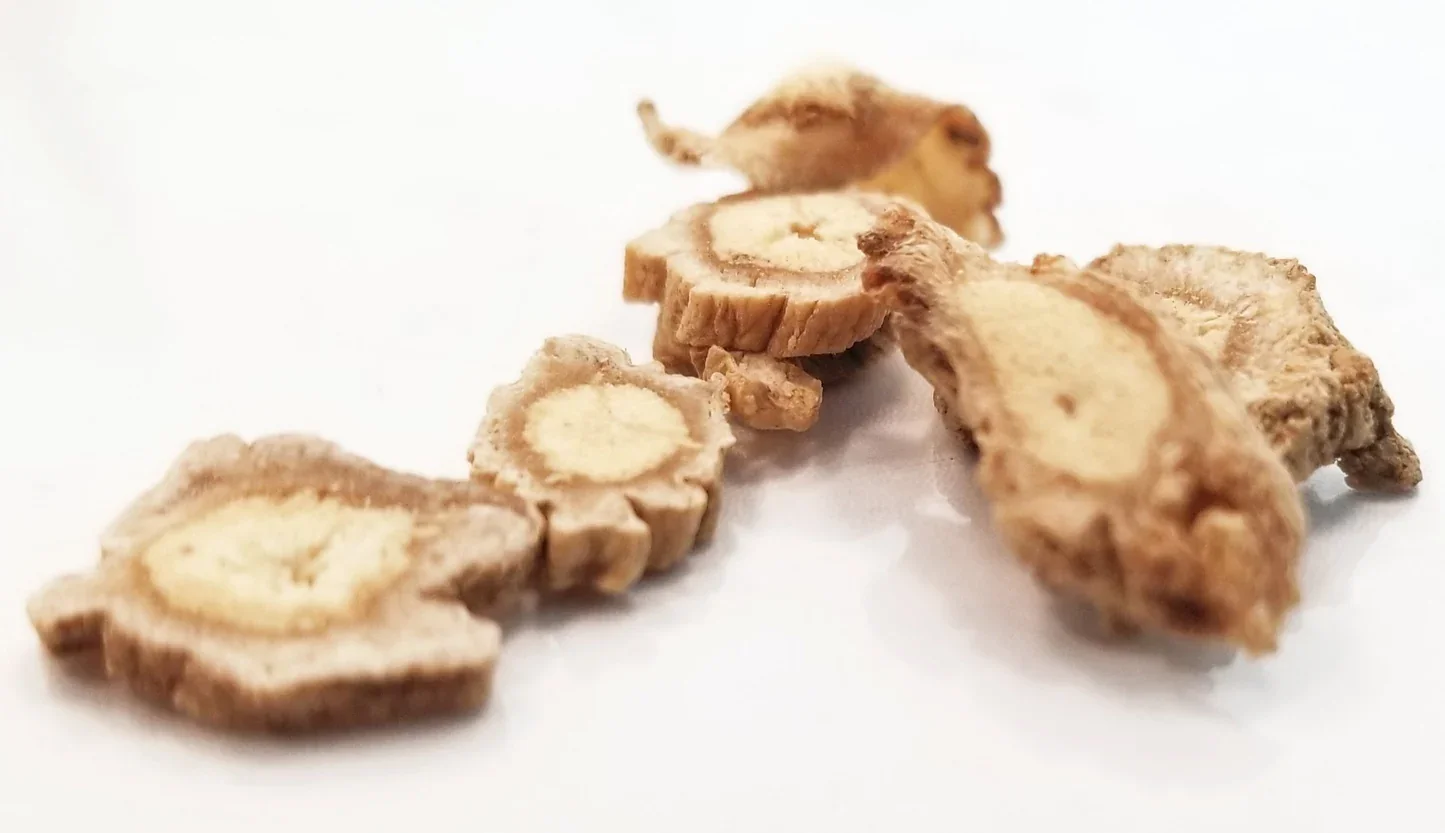 Codonopsis bulk herb