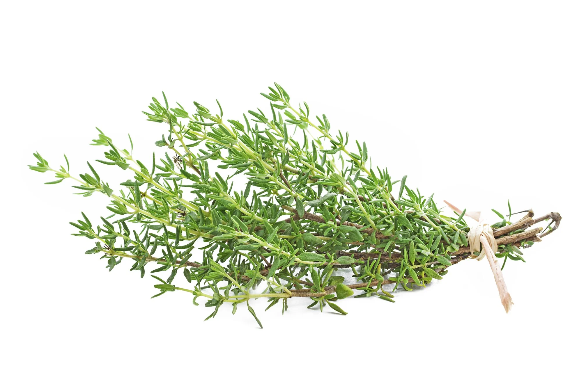Thyme bulk herb
