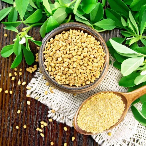 Fenugreek bulk herb