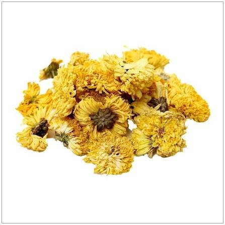 Chrysanthemum bulk herb