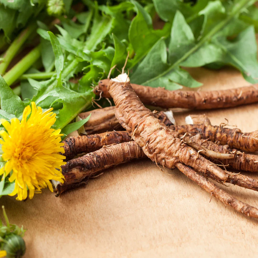 Dandelion Root bulk herb