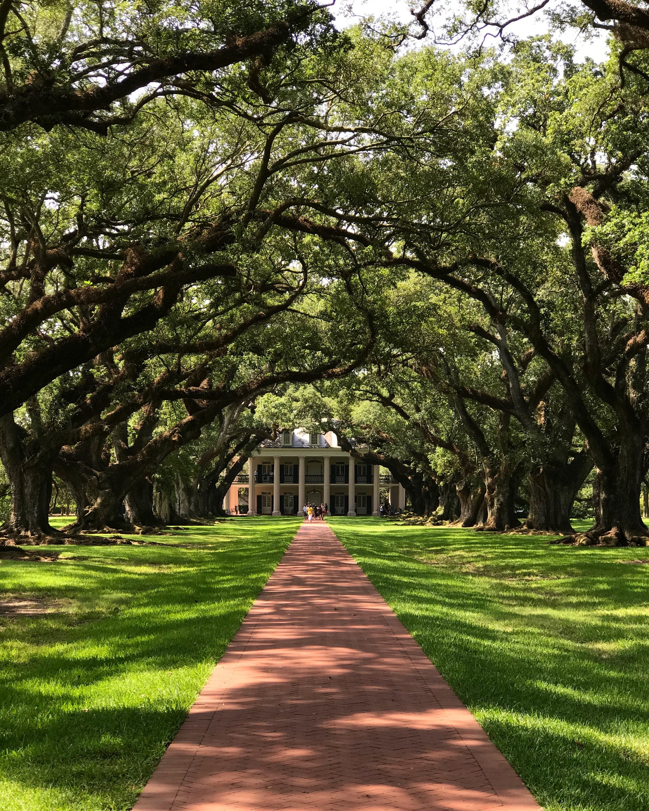 Oak Alley