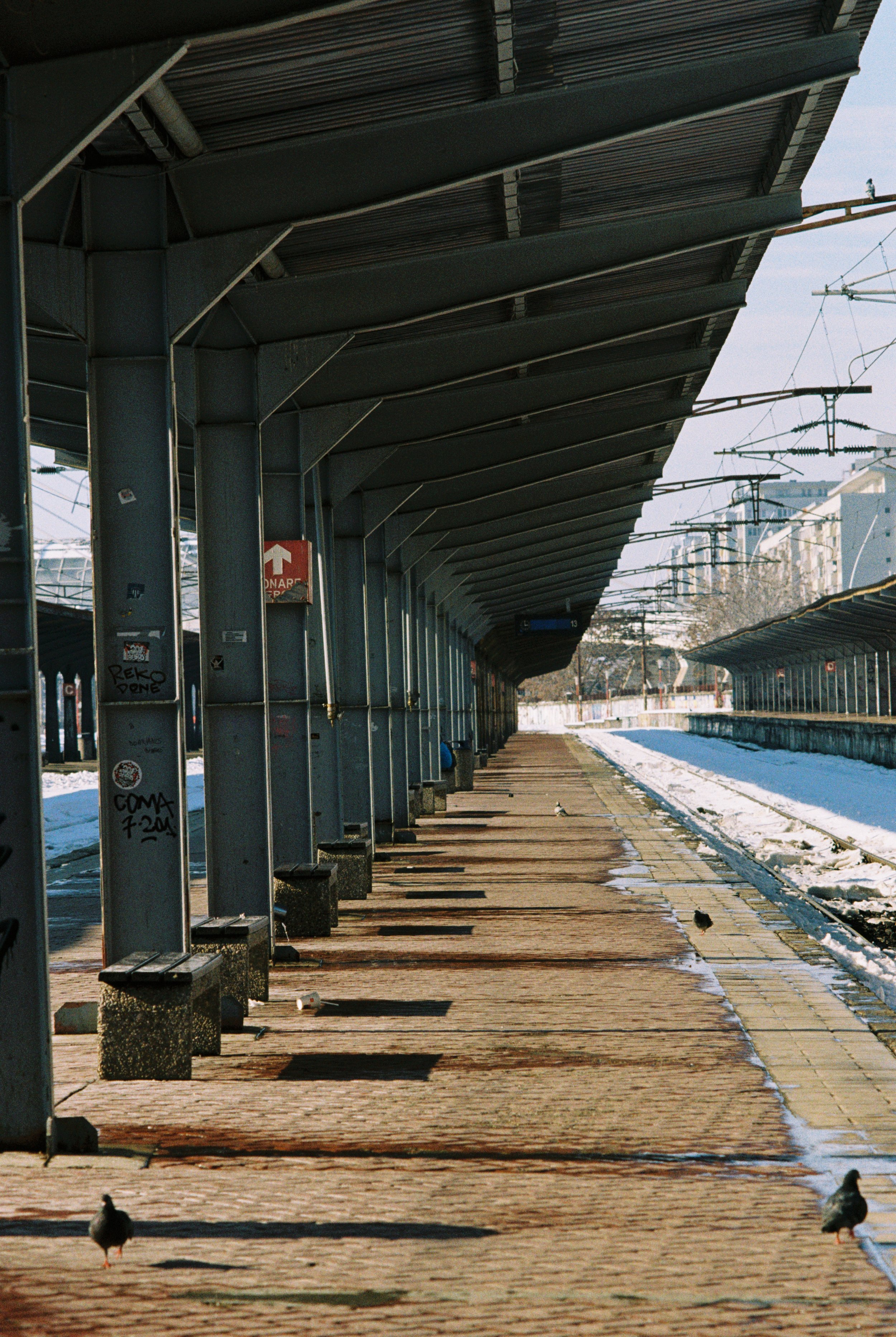 An empty train station platform on a winter day with snow on the tracks and pigeons walking on the pavement, a long canopy casting shadows.