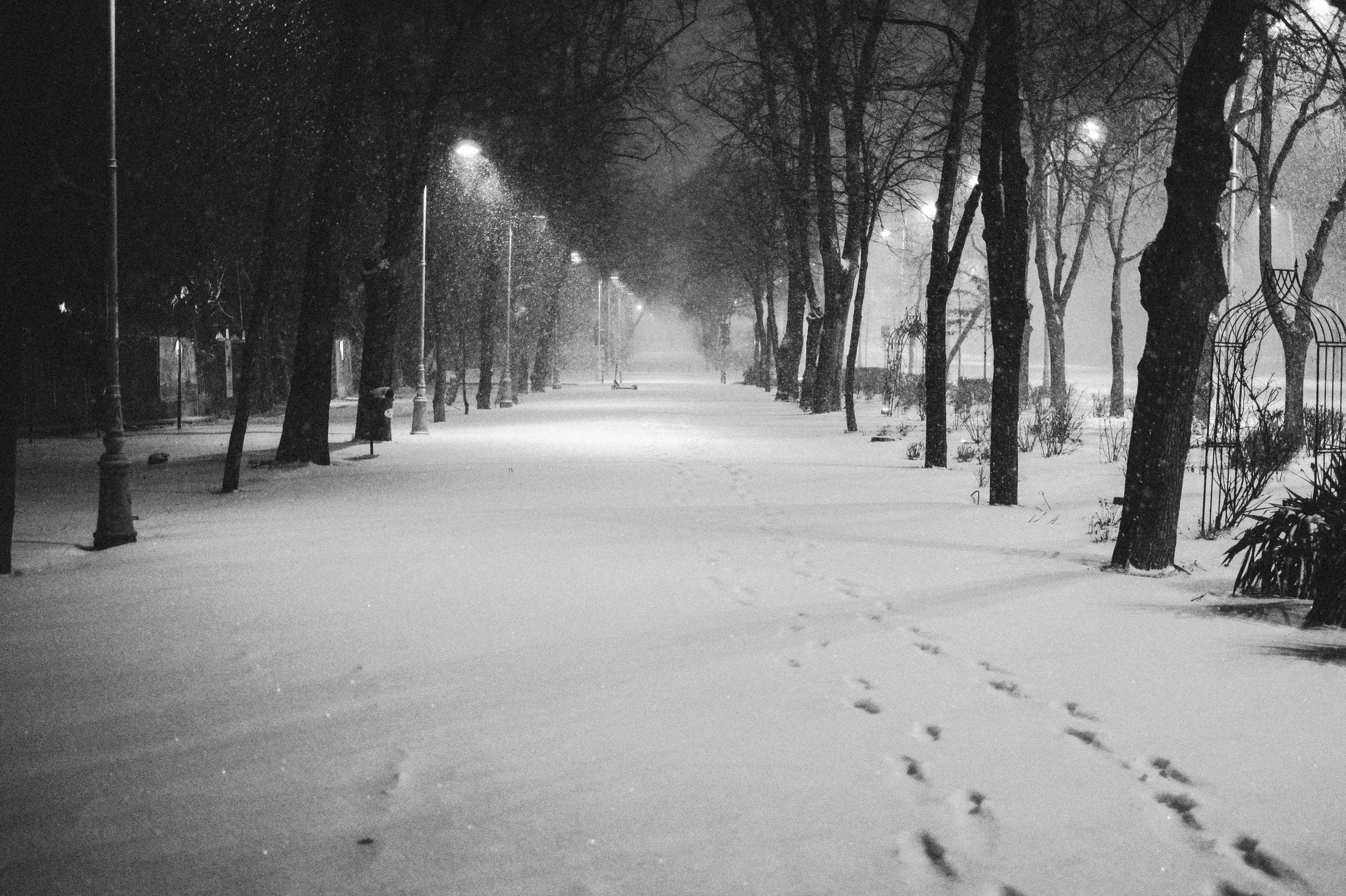 Snow-covered park pathway at night with trees, streetlights, and footprints in the snow.