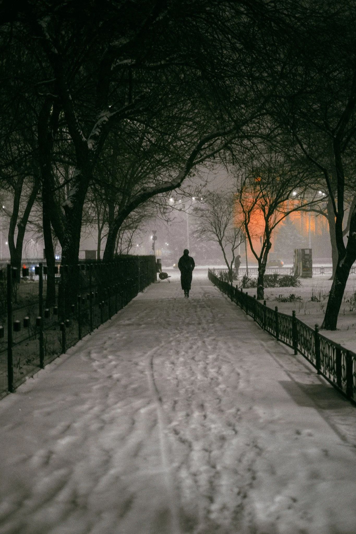 A person walking alone on a snowy pathway at night, flanked by leafless trees and illuminated by streetlights with a foggy background.