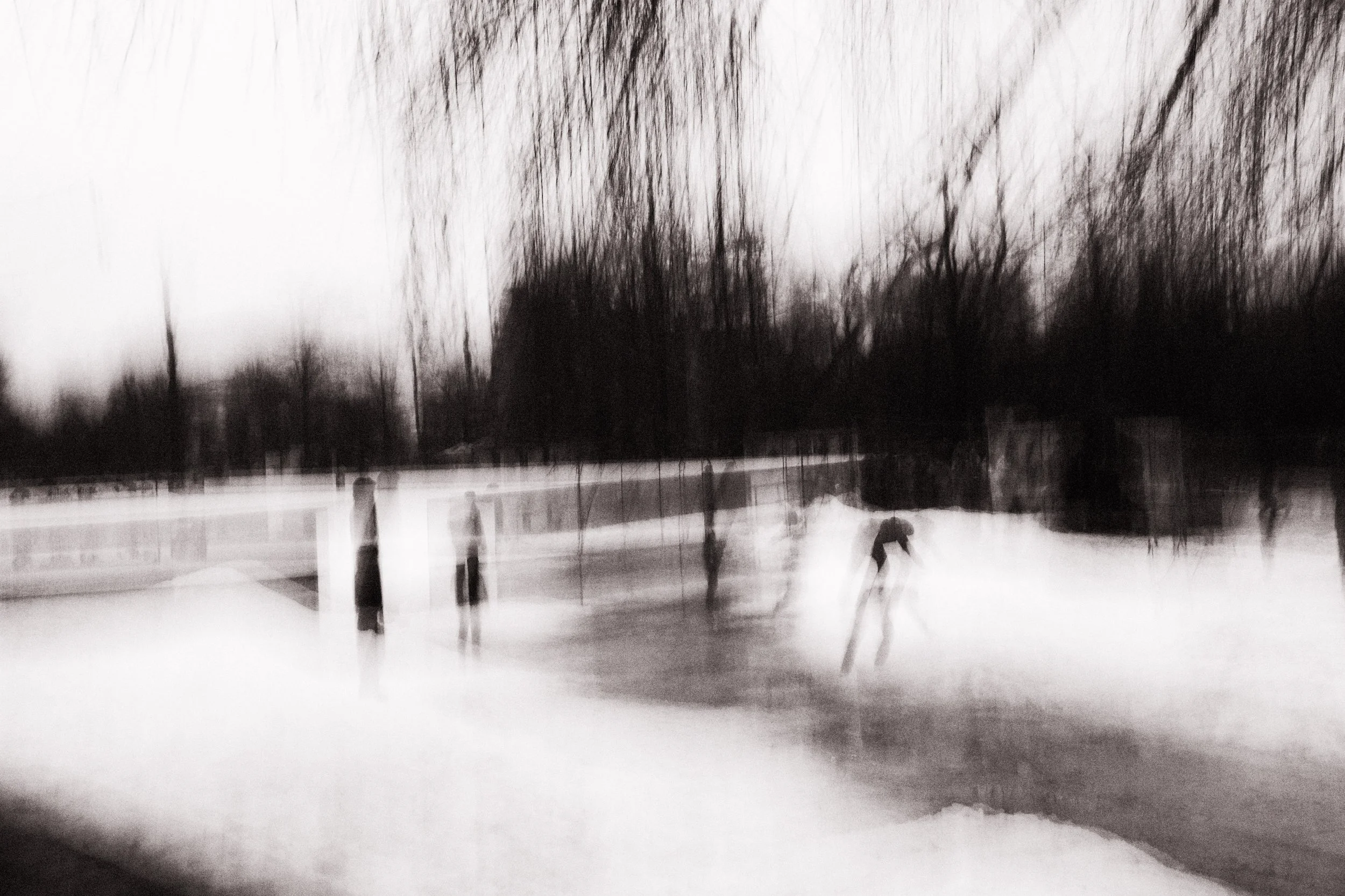 Parcul Cismigu, Bucharest