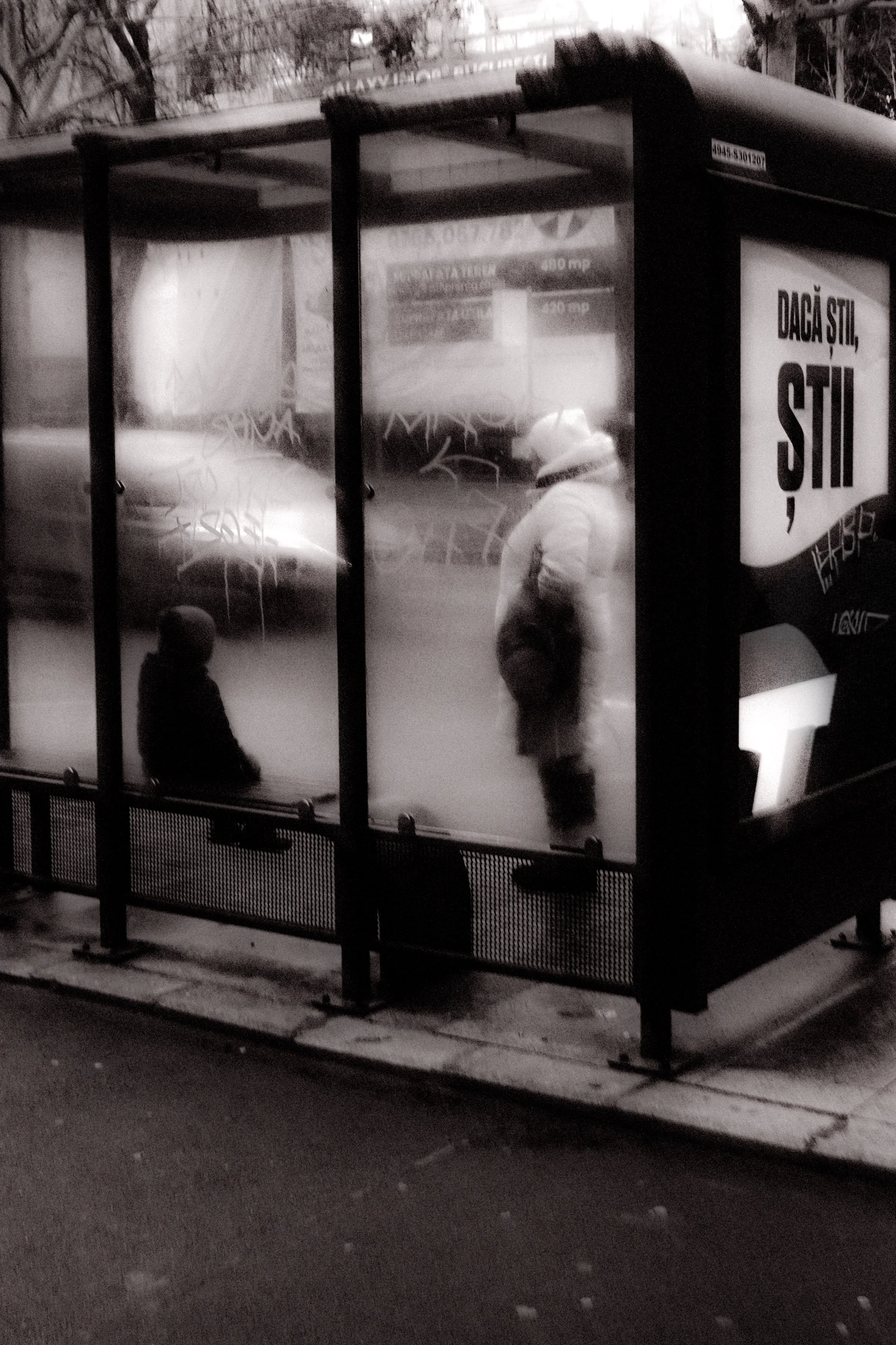 Bd Lascar Catargiu, Bucharest