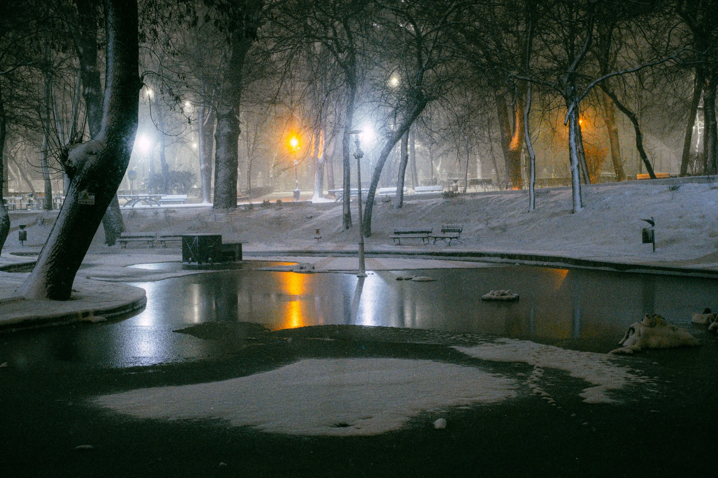 A snow-covered park at night with a frozen pond, snow on the ground, bare trees, and street lamps casting light.