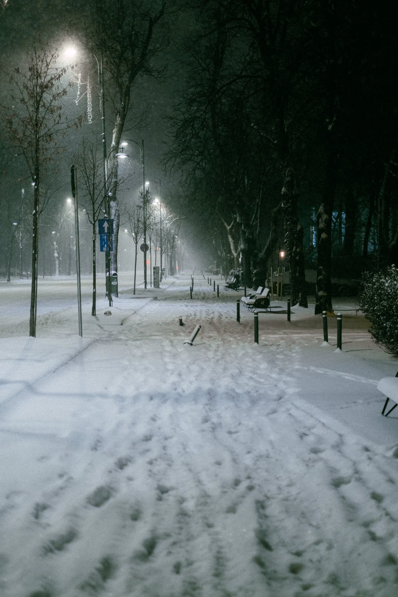 Snowy sidewalk and street at night with streetlights, bare trees, and empty benches