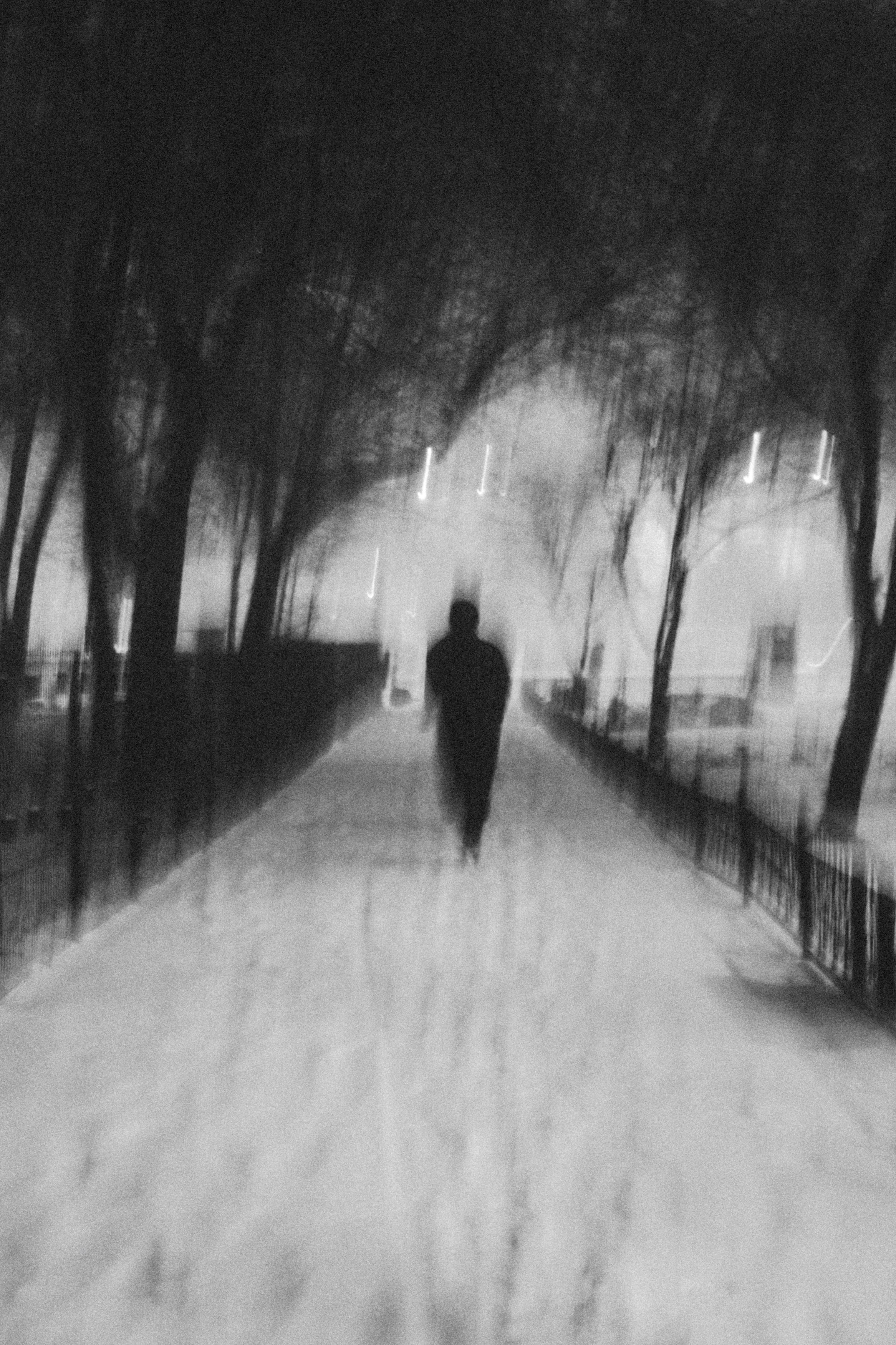 A silhouette of a person walking down a snowy path on a winter night, surrounded by trees and faint streetlights.