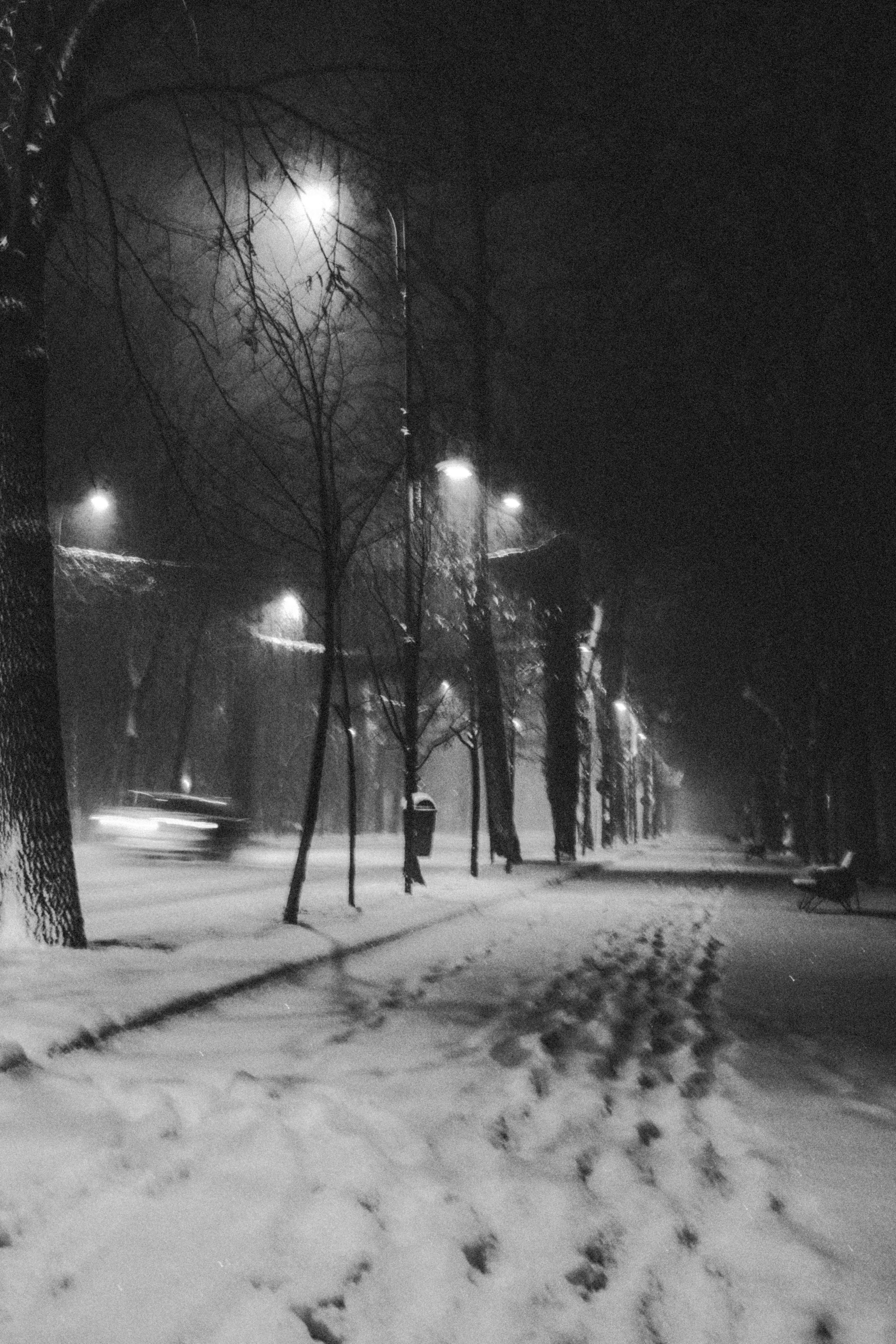 Snow-covered sidewalk at night with snow falling, illuminated by streetlights, trees with bare branches, and a bench in the distance.