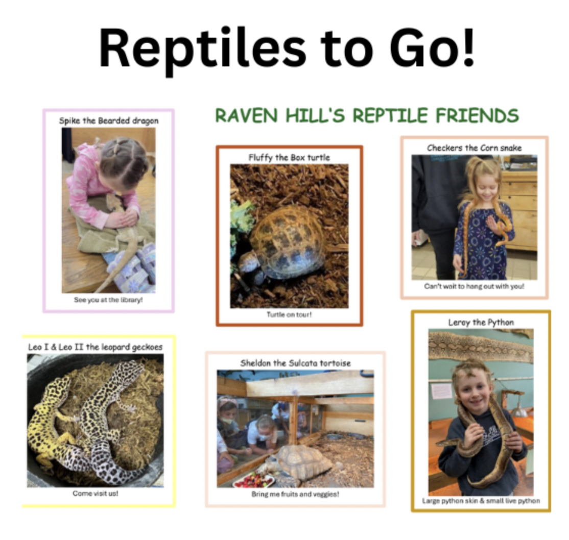 Reptiles to Go - Raven Hill Discovery Center