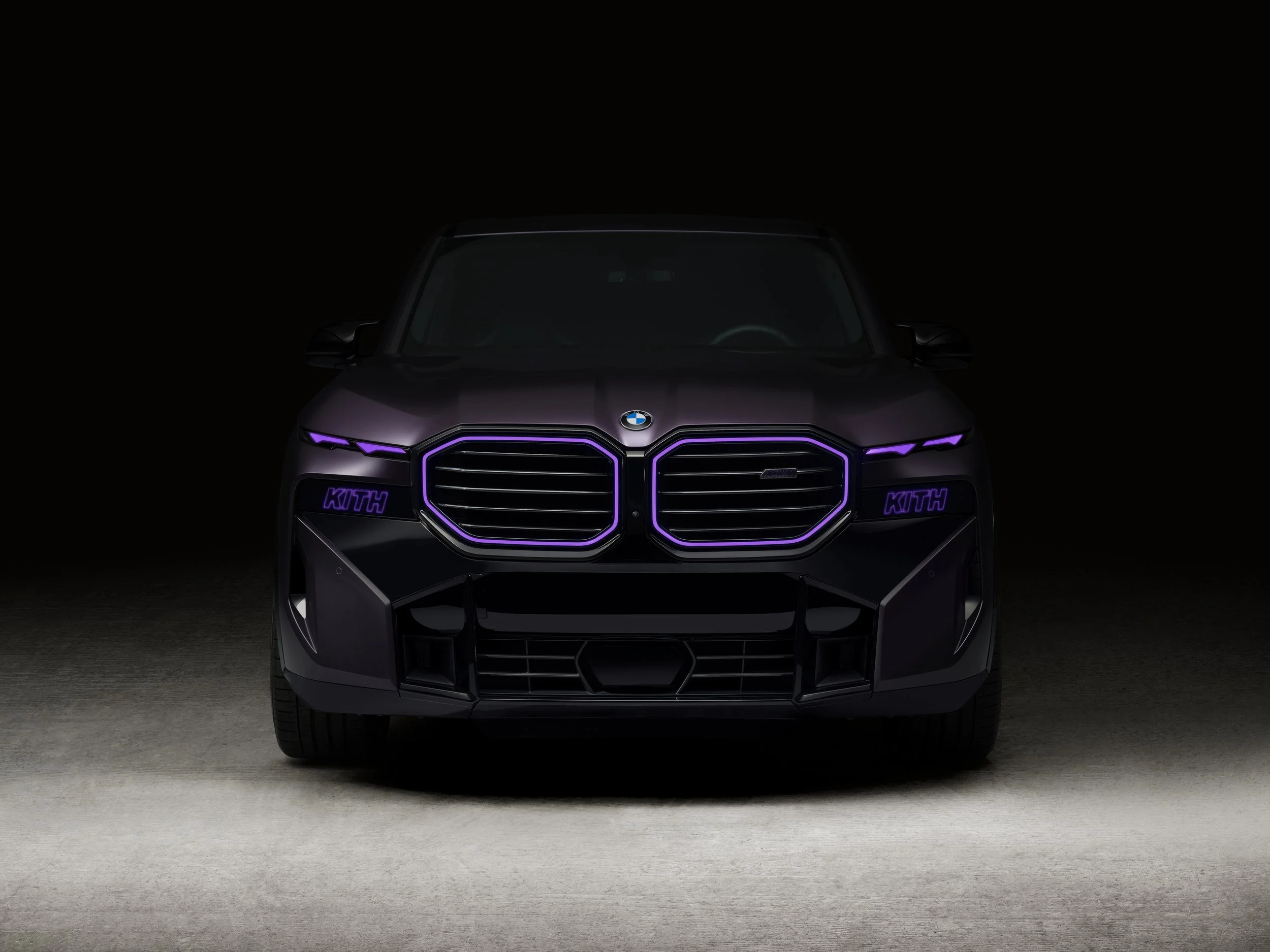 2-KITH_2024_XM_Frond_Dark.jpg