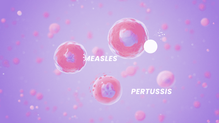 Illustration showing measles and pertussis bacteria with labels in a purple background.