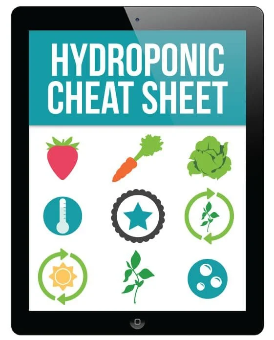 USU18_Hydropoinic-CheatSheet_IpadGraphic.jpg