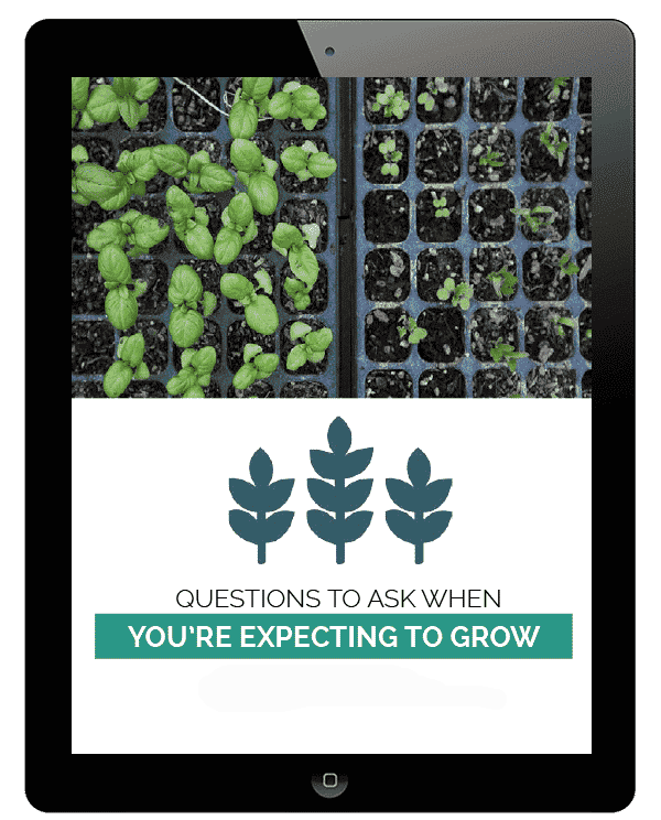 Questions-To-Ask-When-Youre-Expecting-To-Grow.png