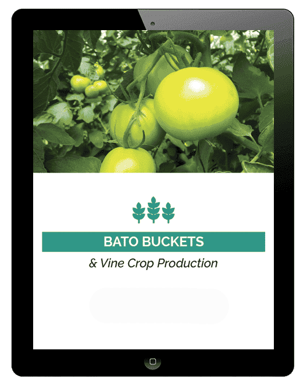 Bato-Buckets-2.png