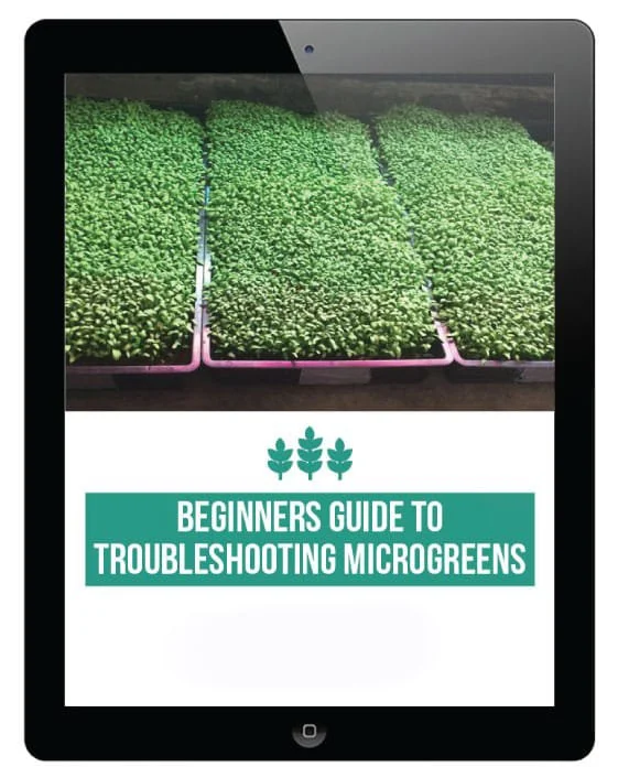MicrogreensEbook_IpadGraphic-1.jpg