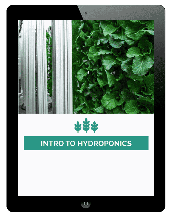 Intro-to-Hydroponics-1.png
