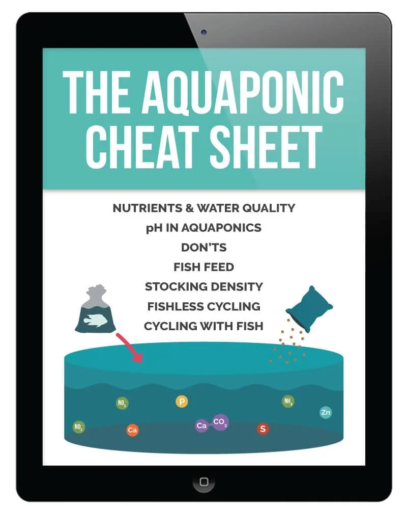 UpstartUniversityContentMarketing18_Proj_AquaponicCheatSheet_IpadCover.jpg