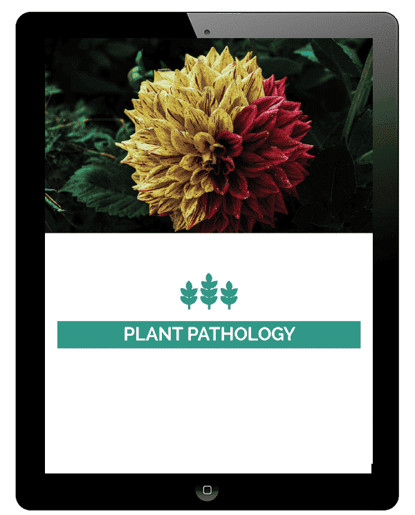 Plant-pathology-3-1.png