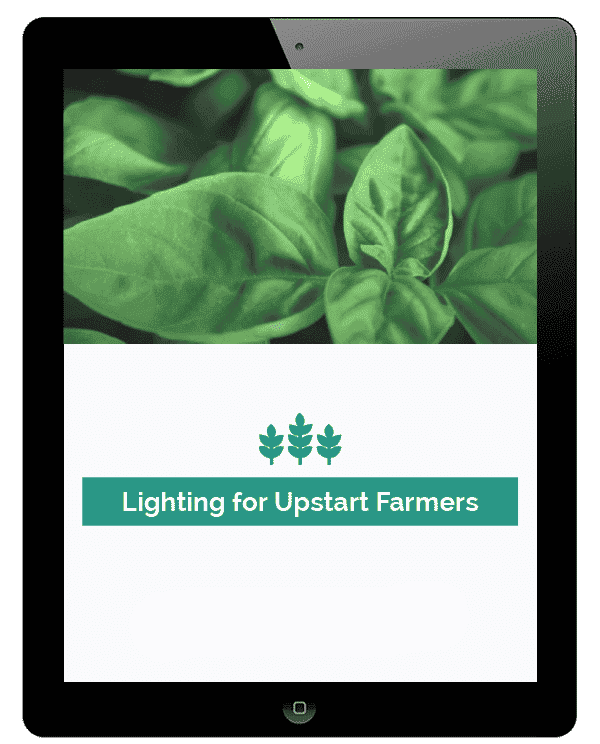 Lighting-for-Upstart-Farmers.png