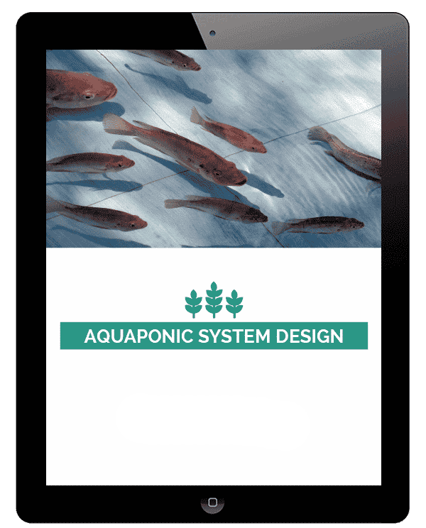 Mini-Aquaponic-System-Design.png