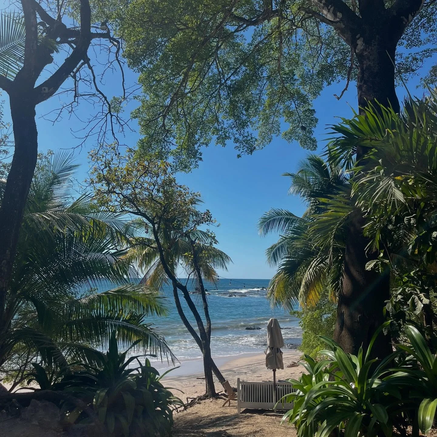 Plot twist: Eros is alive &amp; well 

So grateful to this land and the quality time together and to be moving from heart &amp; trusting instinct. Gratitude for all who live in relationship with her, protecting and honoring her spirit&mdash;for openi