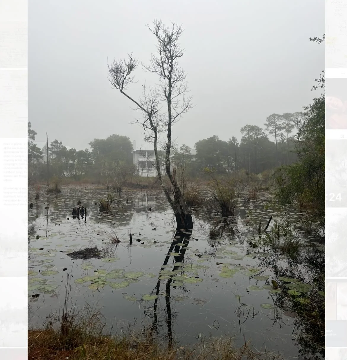 Jan + Feb&rsquo;s muses &amp; threads: feeling the collective grief, fear &amp; personal unknowns - while focusing on reclaiming trust, pleasure &amp; protection even in the void, practicing hope as discipline, embracing laughter as medicine, &amp; h