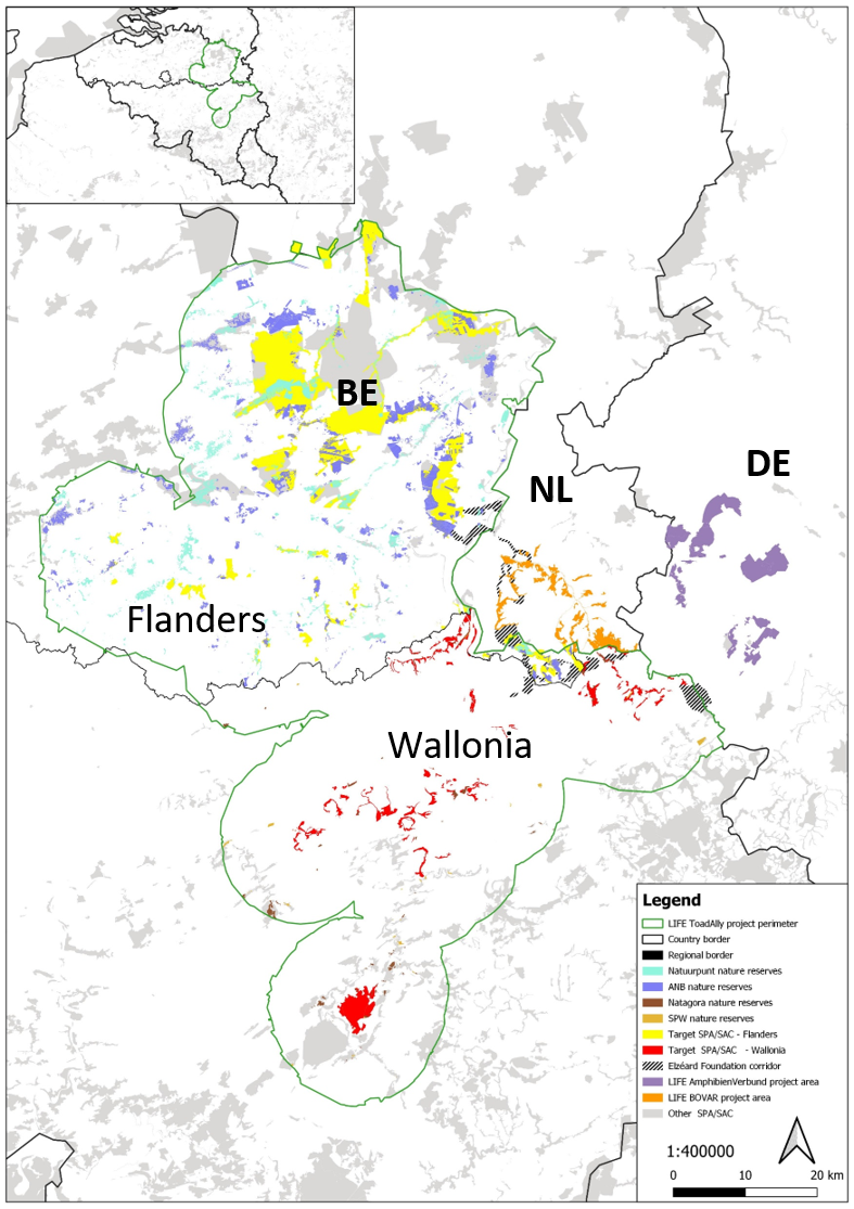 Kaart van België en omliggende landen met regionale en nationale natuurreservaten, projectgebieden en grenslijnen, met een legenda op de onderzijde.