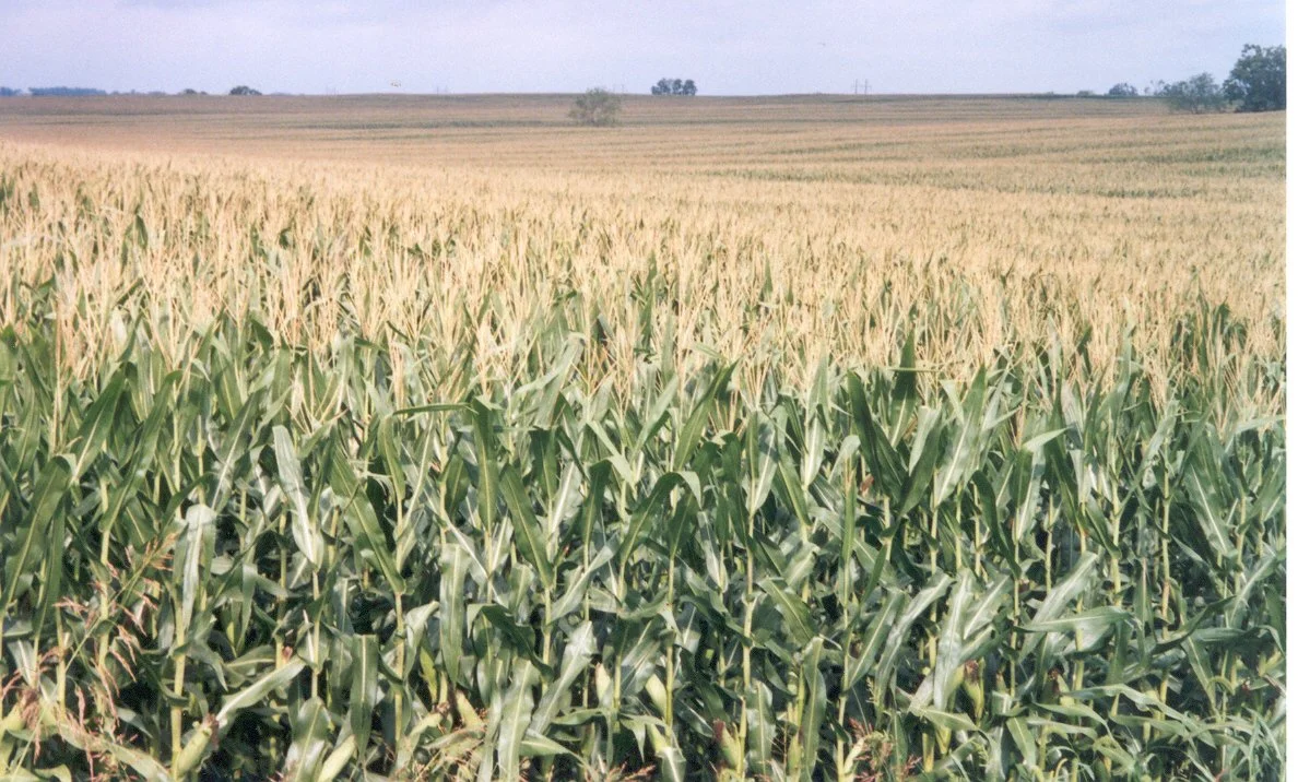 General 2 — Mercer County, KY. Conservation District