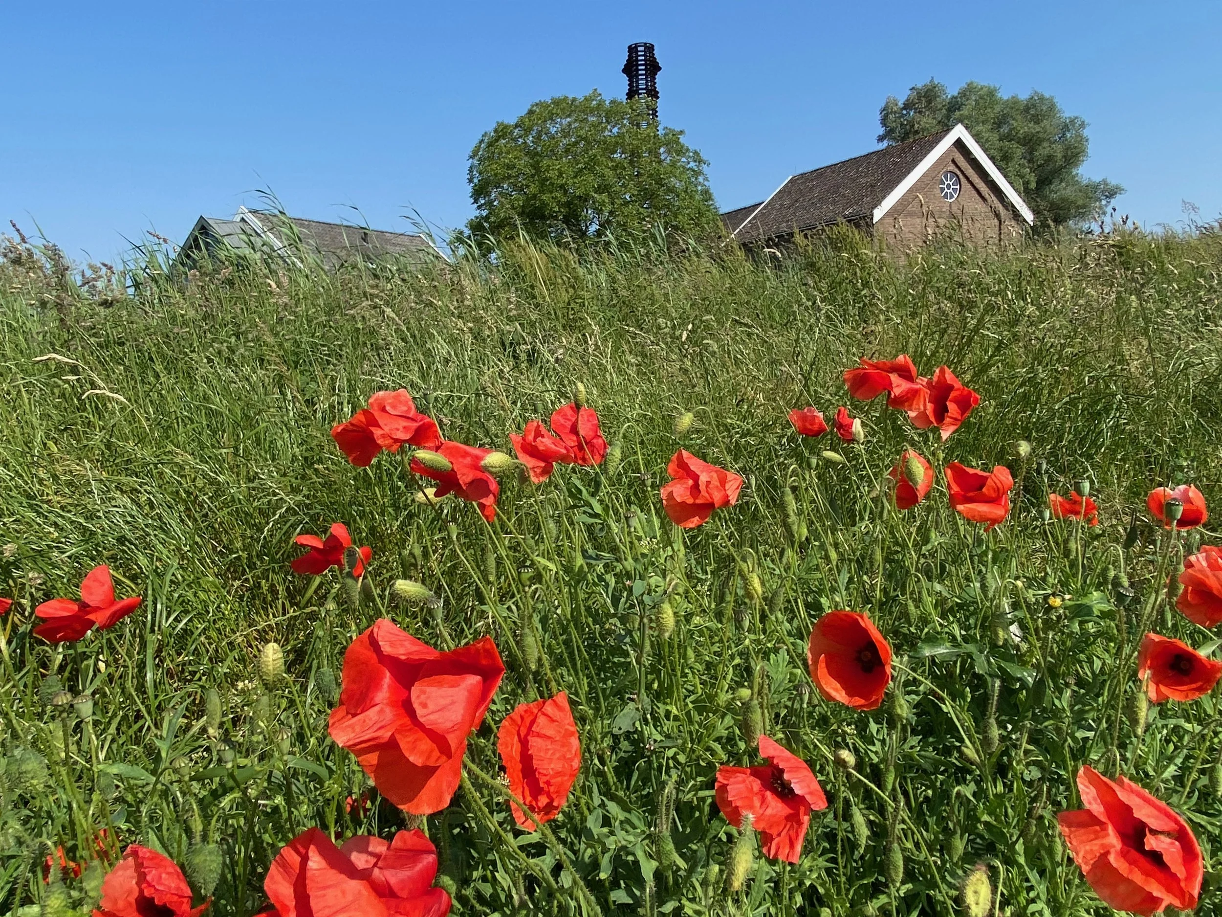 Over ons — Gemaal Oude Rijn