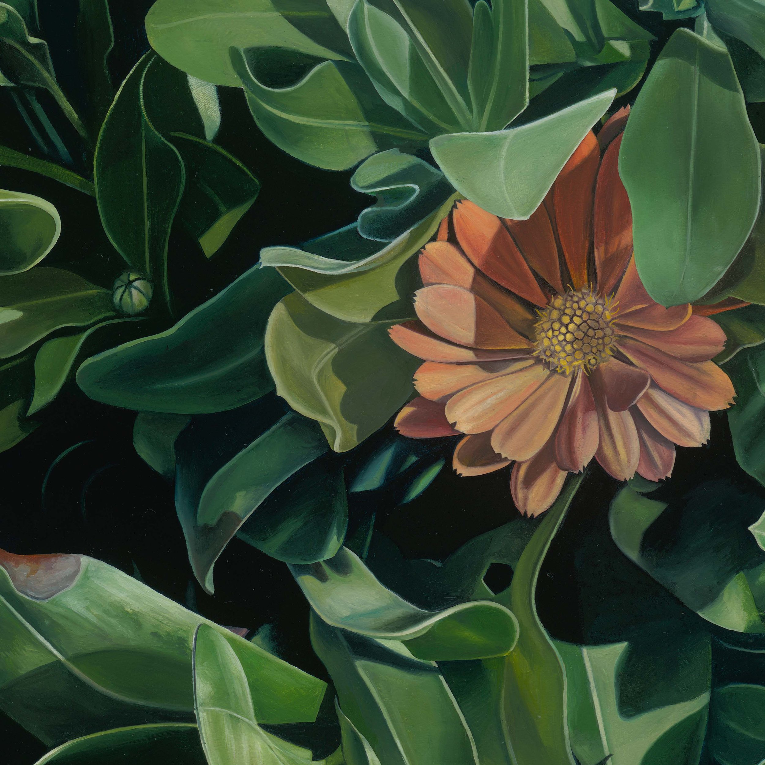 Calendula(crop2).jpg