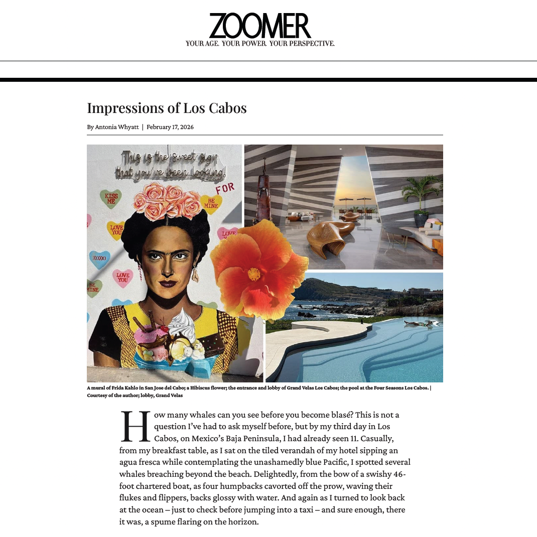 Zoomer Magazine: Impressions of Los Cabos