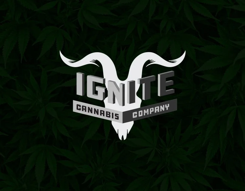 Ignite_Cover2.jpg