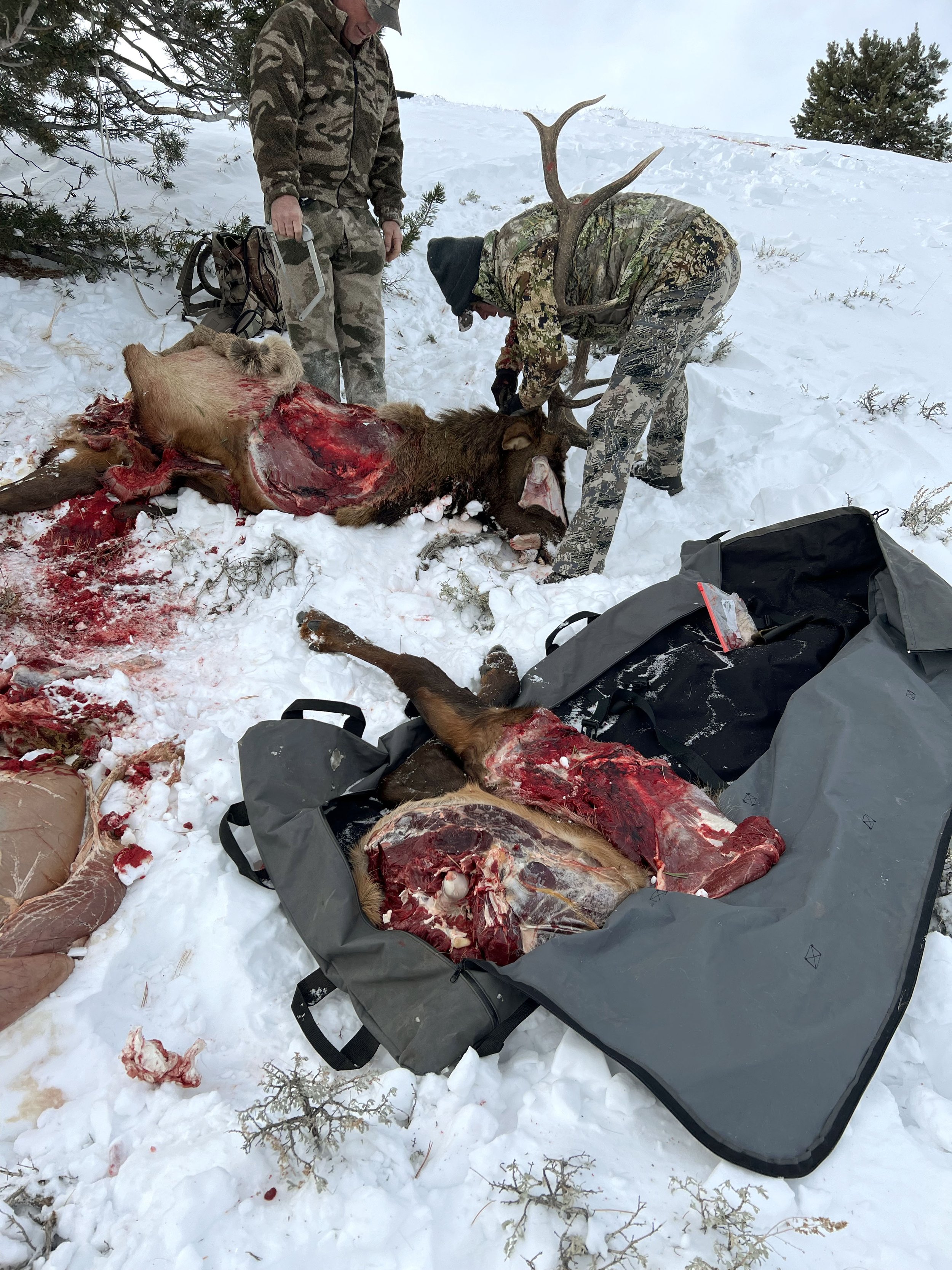 Elk Quarters