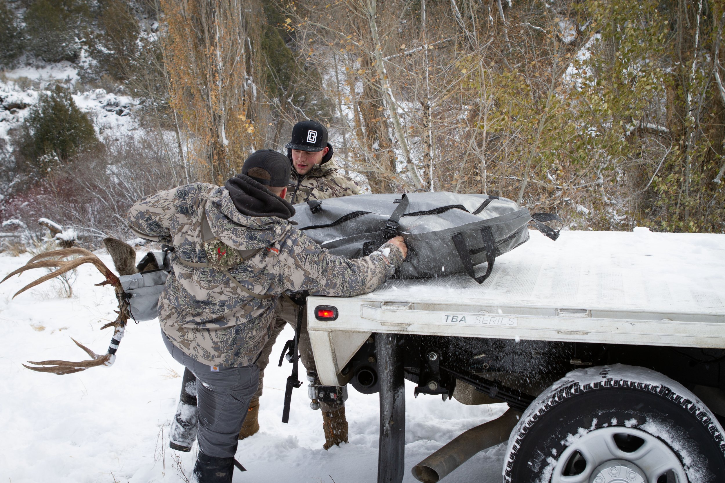 Idaho Mule Deer