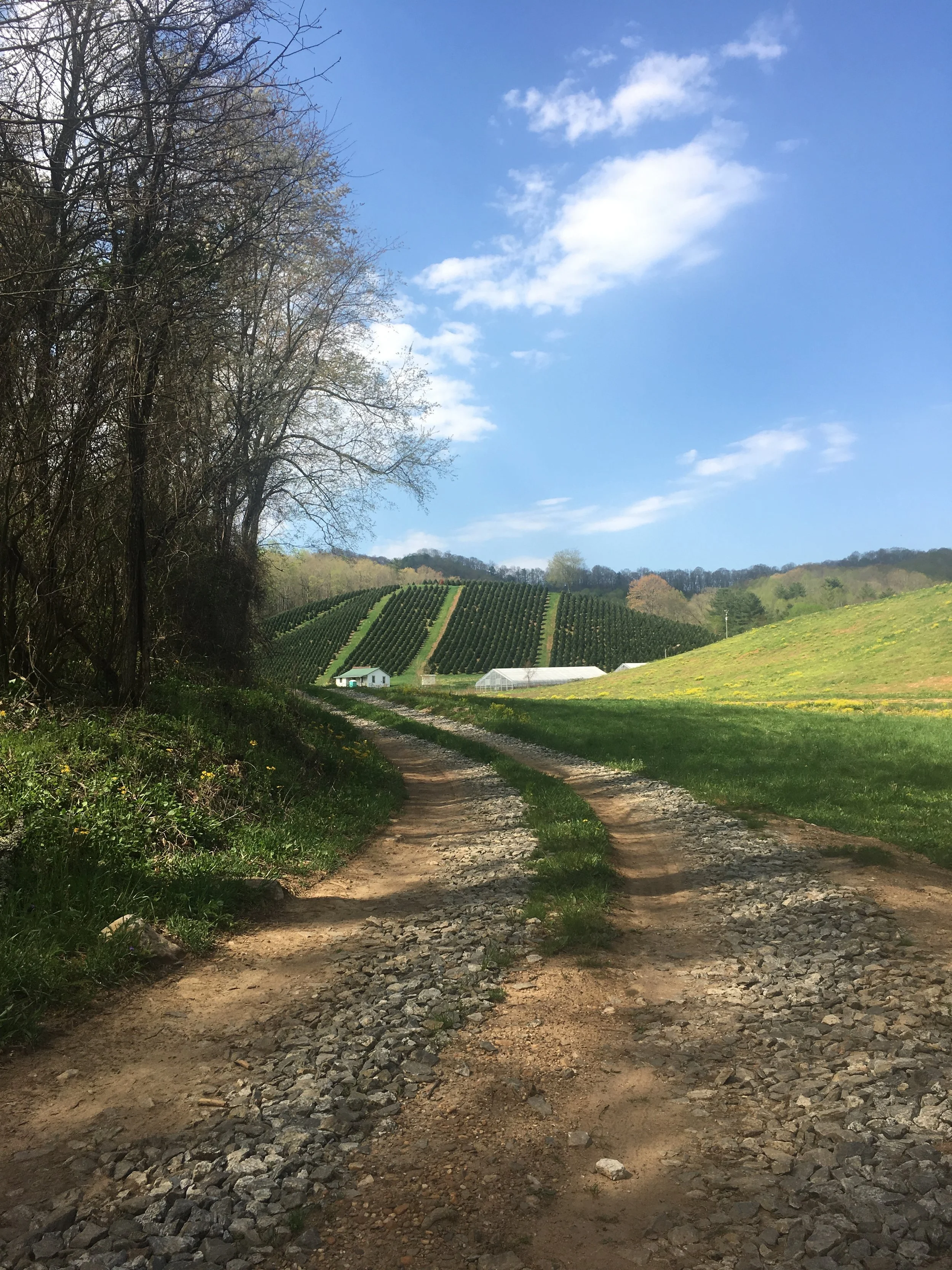 Grounded Pathways Retreat