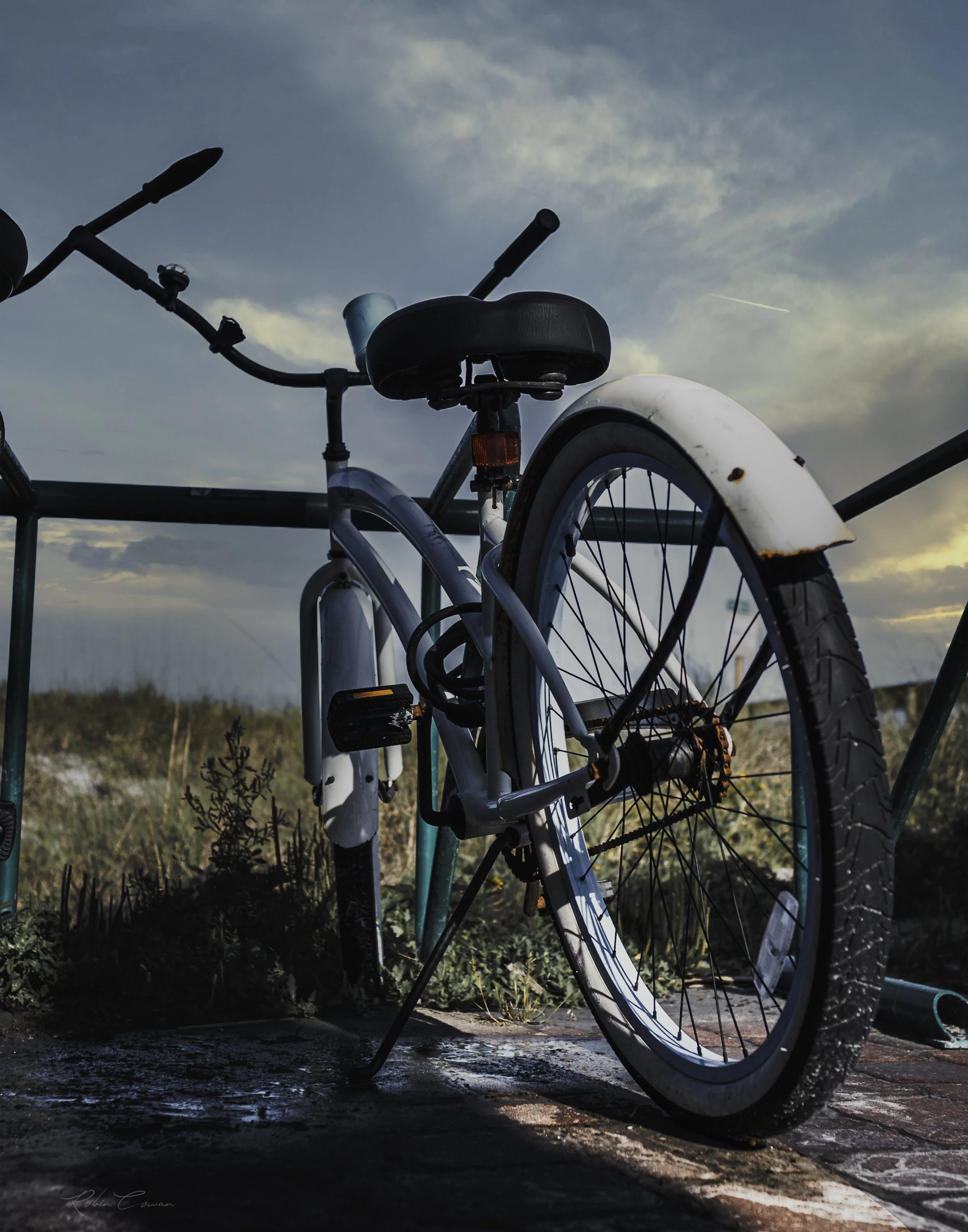 Bicycle_Robin Cowan_S9919.jpg