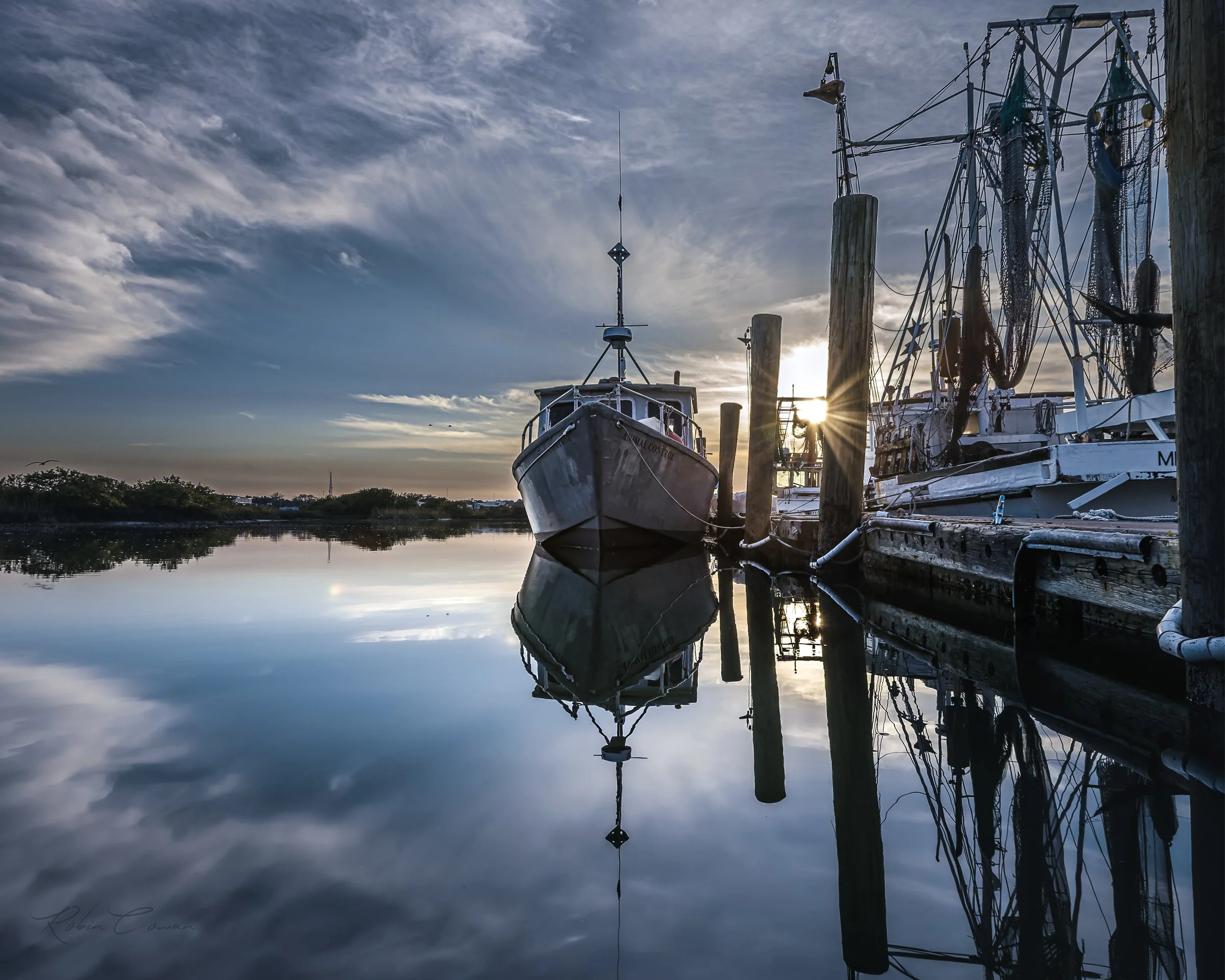 Boats_Out of the Blue_Robin Cowan_S2578.jpg