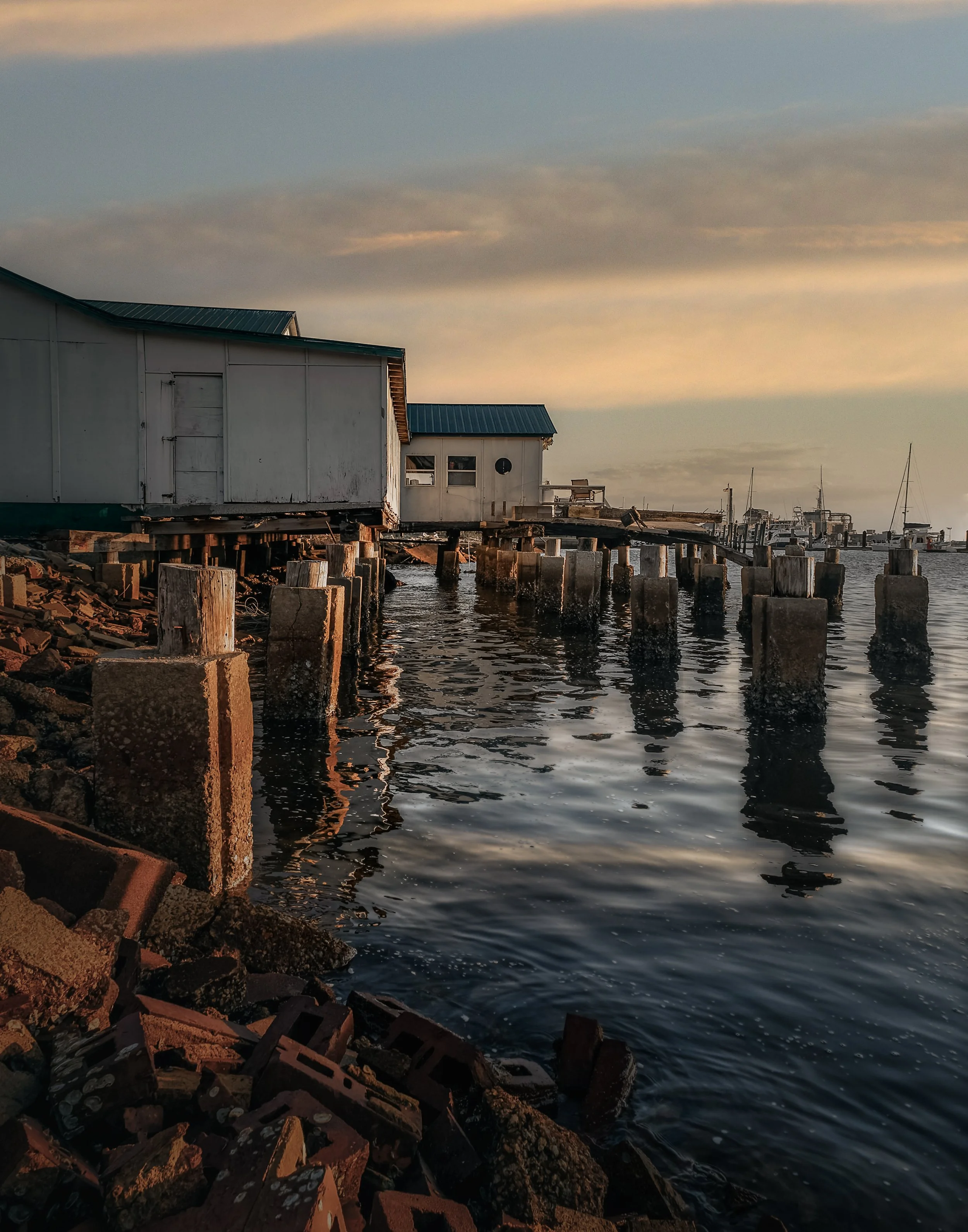 Bayfront_158A3025.jpg
