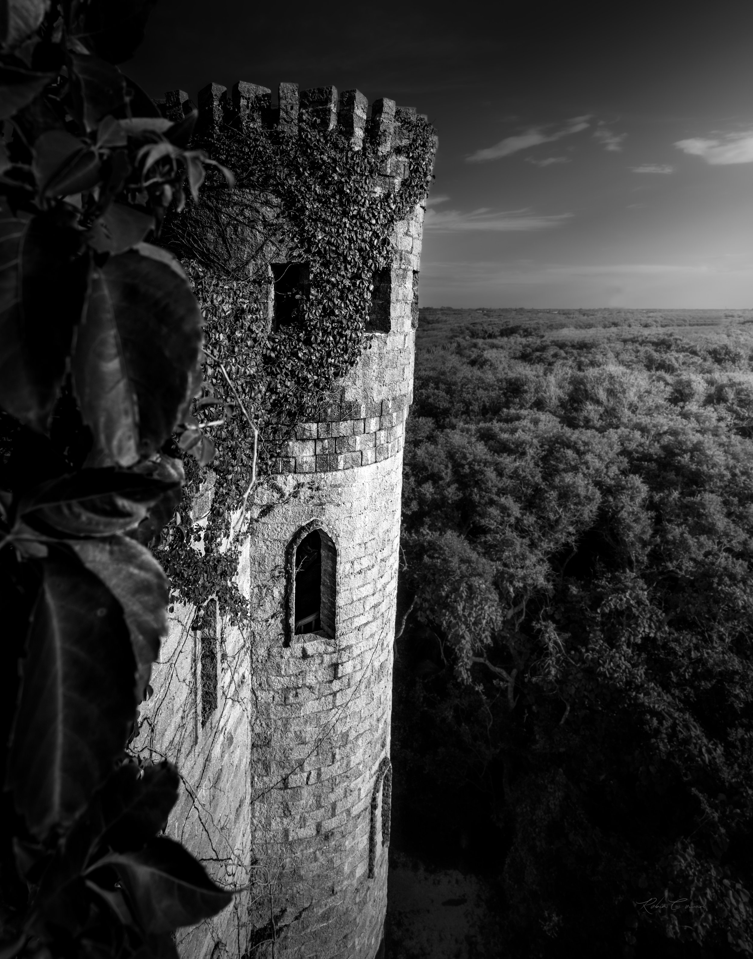 Castle Otttis_Robin Cowan_S158A3547_bnw.jpg